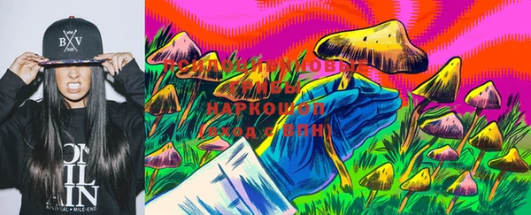 apvp Нязепетровск