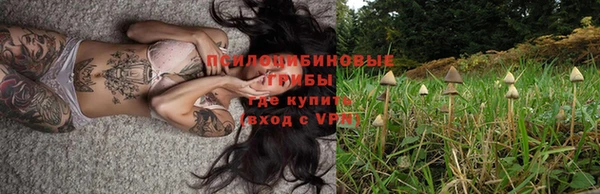 молекула духа Алексин