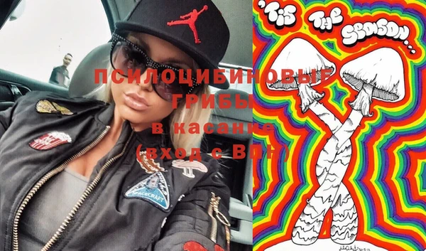 молекула духа Алексин